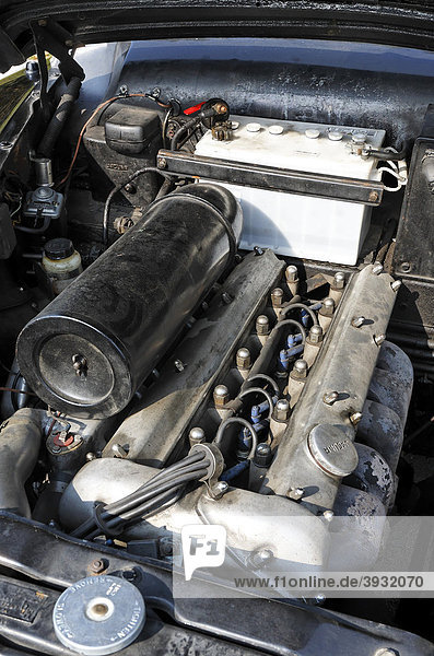 Oldtimer Jaguar Mark VIII  Blick in den Motorraum  6-Zylinder-Motor 4  2 Liter