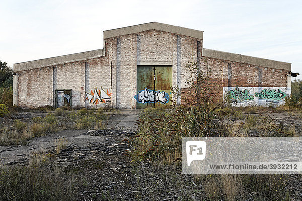 Alte Werkshalle  überwachsenes Gelände  früheres Ausbesserungswerk der Bahn  2003 stillgelegt  Duisburg-Wedau  Nordrhein-Westfalen  Deutschland  Europa