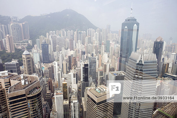 Aussicht vom 2 IFC Tower  Hong Kong Island  Hongkong  China  Asien