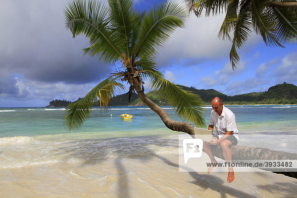 Mann mit Laptop auf Kokospalme  Baie Lazare  Insel Mahe  Seychellen  Afrika  Indischer Ozean