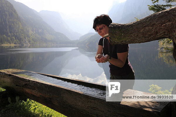 Hiker refreshing herself at a trough  Gosausee lake  Gosau  Salzkammergut region  Upper Austria  Austria  Europe