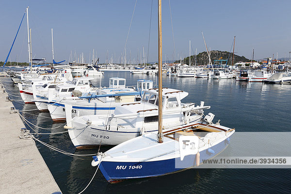 Hafen von Murter  Insel Murter  Dalmatien  Adria  Kroatien  Europa