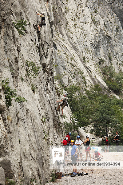 Climbers in Velika Paklenica Canyon  Paklenica National Park  Velebit Mountains  Dalmatia  Croatia  Europe