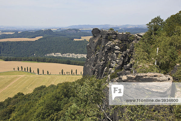 Blick vom und zum Lilienstein  Elbsandsteingebirge im Nationalpark Sächsische Schweiz  Sachsen  Deutschland  Europa