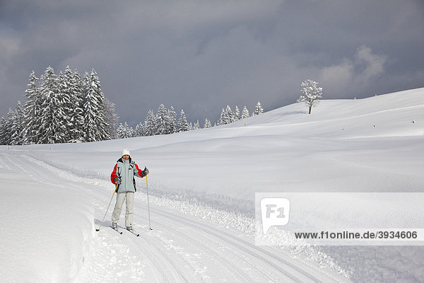 Cross-country skier in a cross-country ski run  Bavaria  Germany  Europe