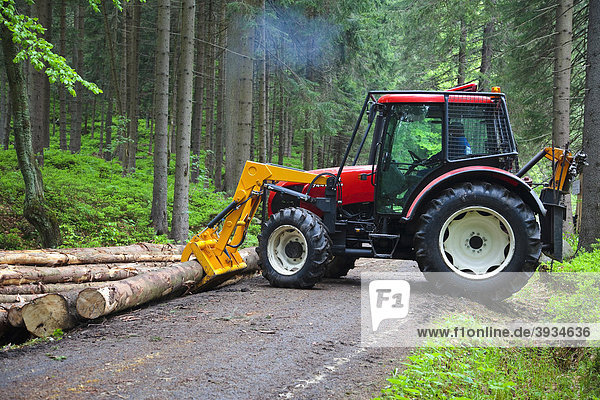 Ein Traktor hebt gefällte Baumstämme zu einem Haufen auf einem Weg im Wald