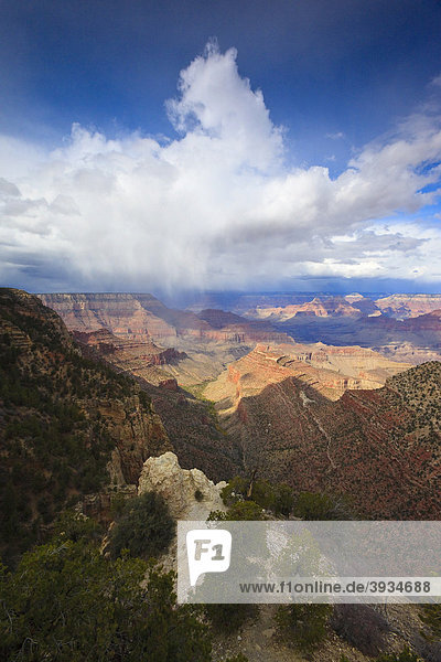 View of the Grand Canyon  Arizona  USA  North America