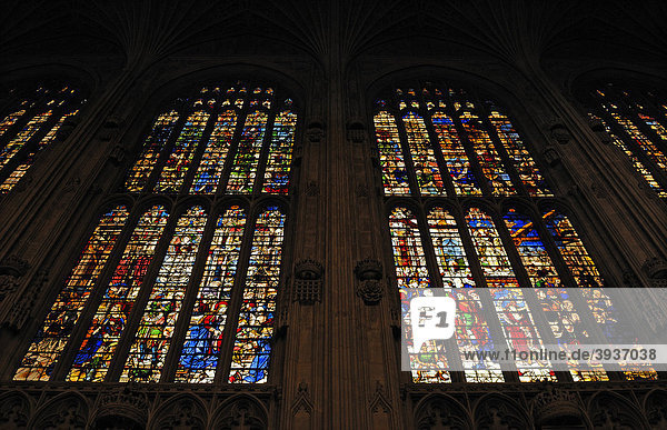 Gotische Kirchenfenster der King's College Chapel  gegründet 1441 von König Heinrich VI.  King's Parade  Cambridge  Cambridgeshire  England  Großbritannien  Europa