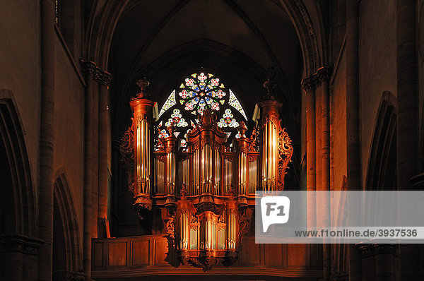 Angestrahlte alte Orgel in der Kathedrale St. Martin  22 Place de la CathÈdrale  Colmar  Elsass  Frankreich  Europa