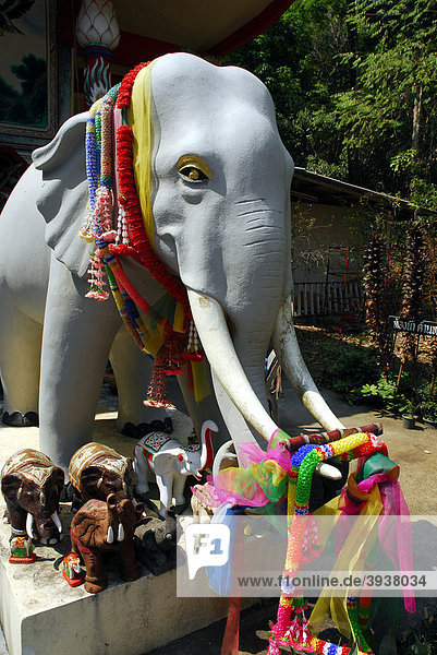 Elefant am chinesischen Tempel bei Ban Klong Son  Insel Koh Chang  Nationalpark Mu Ko Chang  Trat  Golf von Thailand  Thailand  Asien