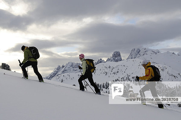 Ski tour  Mt. Duerrenstein  Hochpustertal valley  South Tyrol  Italy  Europe