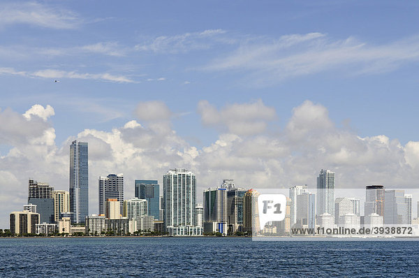 Miami Downtown  Florida  USA