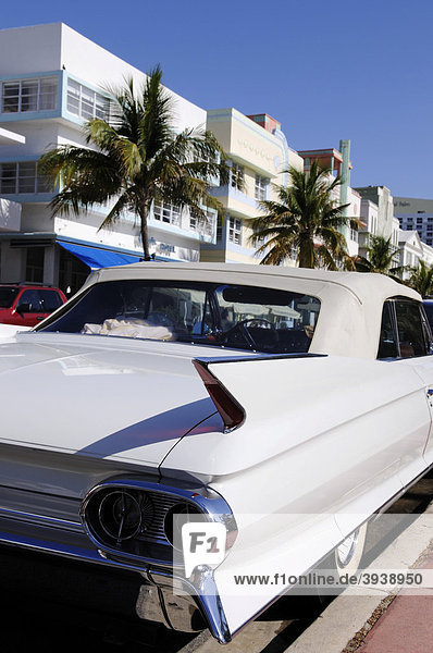 Chevrolet mit Heckflossen  Ocean Drive  Miami South Beach  Art Deco District  Florida  USA