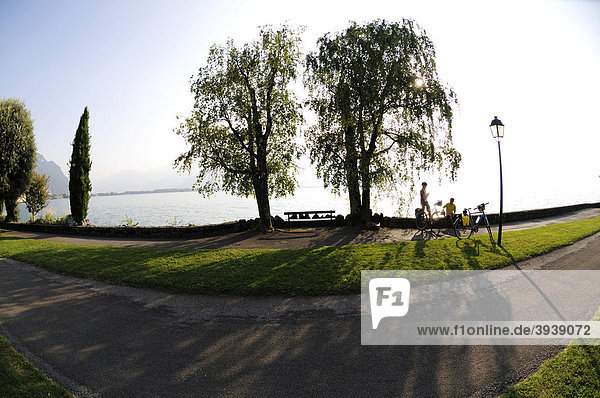 Cyclists  Montreux  Lake Geneva  canton of Vaud  Switzerland  Europe