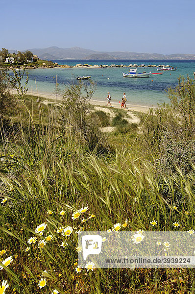 Aghia Anna-Strand Naxos Kykladen Griechenland Europa
