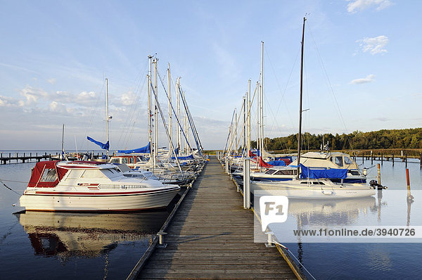 Marina in Ralswiek at the Grosser Jasmunder Bodden  Ruegen island  Mecklenburg-Western Pomerania  Germany  Europe