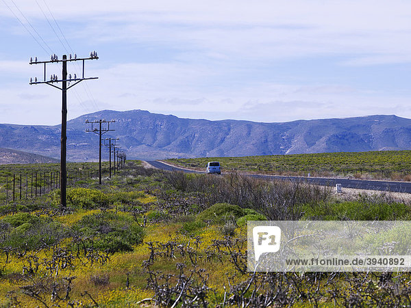 Highway in Western Cape in South Africa  Africa