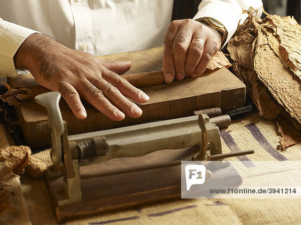 Cuban cigar roller rolling tobacco leaves into a cigar shape