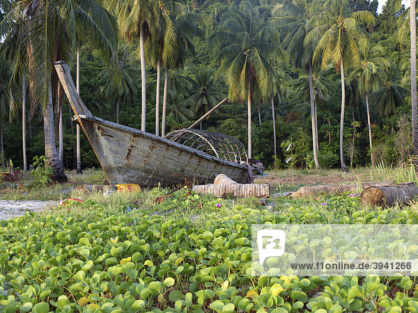 Wreck of a long tail boat in front of a palm grove on the beach of Ko Hai island  Ko Ngai  Andaman Sea  Satun Province  southern Thailand  Thailand  Asia