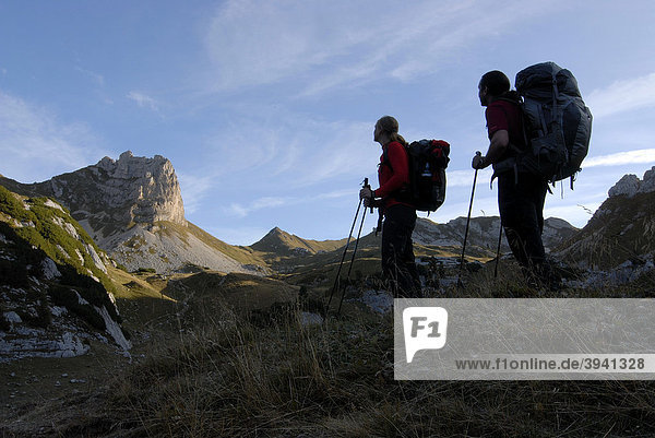 Wanderer  junge Frau und Mann gehen früh am Morgen mit Tourenrucksack und Trekkingstöcken Richtung Rosskopf  2257 m  durch das noch von Reif bedeckte Gras  Rosskopf  Rofan  Achensee  Tirol  Österreich  Europa