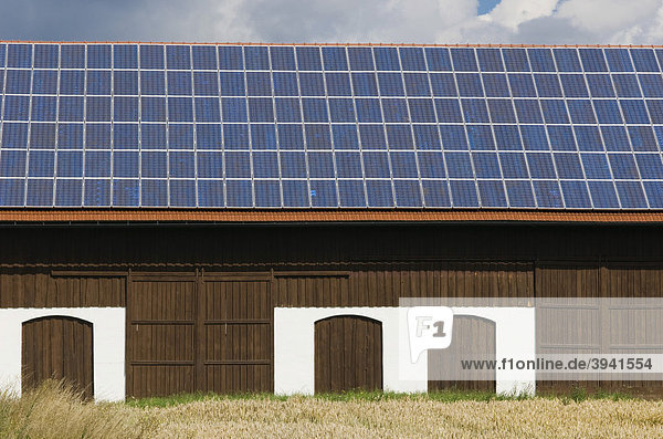 Solar-Module auf dem Hausdach  Solar-Zellen  Sonnenenergie  Photovoltaik  Mallersdorf  Bayern  Deutschland