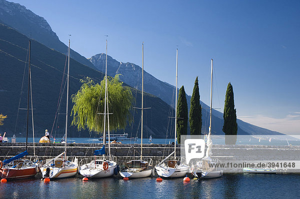 Segelboote im Yachthafen  Torbole  Gardasee  Lago di Garda  Trentino  Italien  Europa