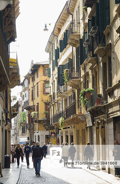 Alley in the historic town centre  Verona  Veneto  Italy  Europe