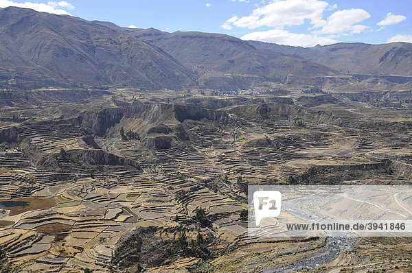 Terrassenfelder Nähe Maca Colca Canyon Peru Südamerika Lateinamerika