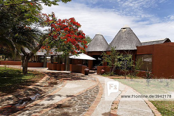 Satara rest camp  bungalows  Kruger National Park  South Africa