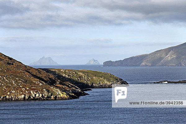 Great und Little Skellig Inseln  Ring of Kerry  County Kerry  Irland  Europa