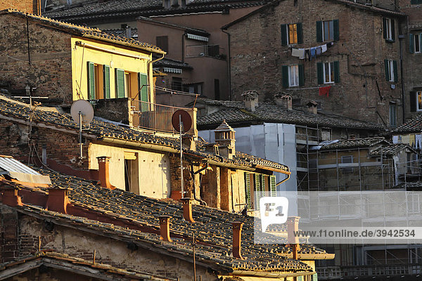 Dächer  Wohnarchitektur  Siena  Toskana  Italien  Europa