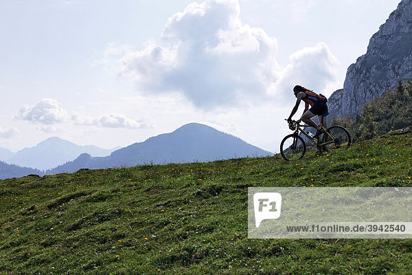 Bicycle rider on the Kampenwand  Chiemgau  Upper Bavaria  Germany  Europe