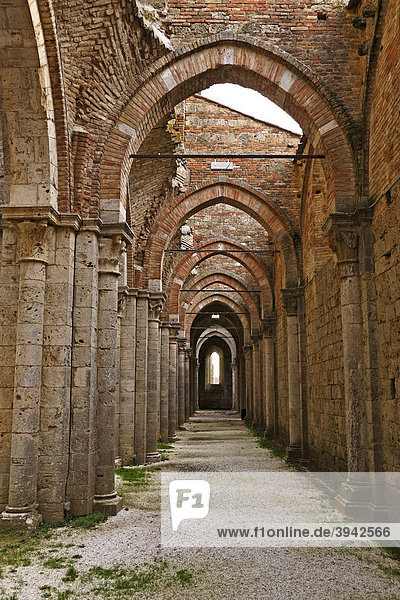 Alte Kathedrale der Abtei-Ruine Abbazia San Galgano  Toskana  Italien  Europa