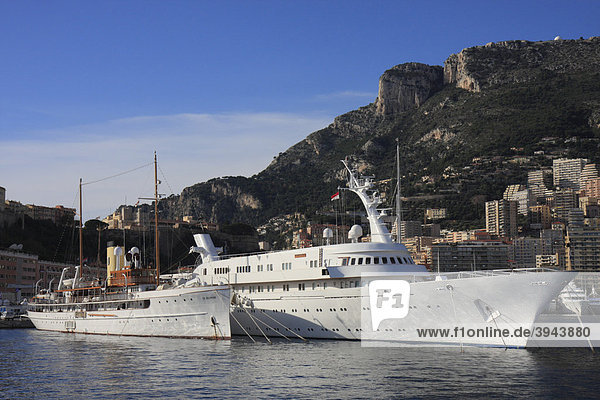 Motoryachten SS Delphine und Atlantis II im Hafen La Condamine  hinten die Altstadt mit dem Fürstenpalast  Fürstentum Monaco  CÙte d'Azur  Europa
