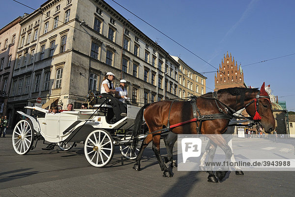 Touristische Pferdekutschen in den Straßen der Altstadt von Krakau  Polen  Europa