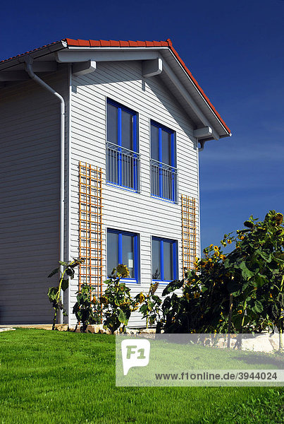 Modernes  energiesparendes  ökologisch gebautes Einfamilienhaus
