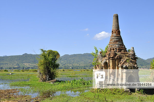Stupa  Pagodenfeld  Sankar  südlicher Inle-See  Burma  Birma  Myanmar  Südostasien