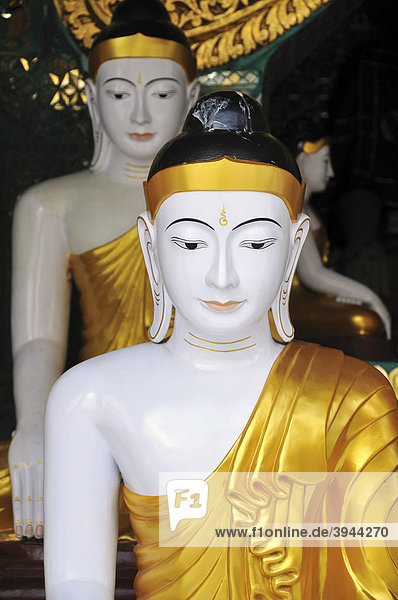 Buddha statues  Shwedagon Pagoda  Yangon  Burma  Myanmar  Southeast Asia