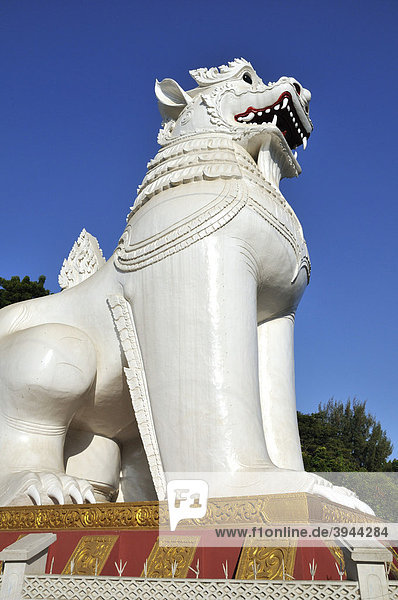 Mythical lion statue  Chinthe  in front of the ascent to the Mandalay Hill  Mandalay  Burma  Myanmar  Southeast Asia