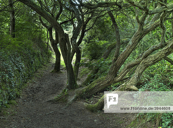 Romantischer Weg Bretagne Frankreich Europa