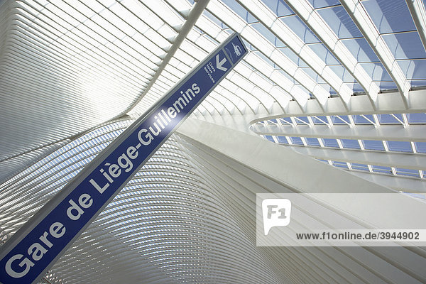 Gare de LiËge-Guillemins train station by architect Santiago Calatrava in Liege  Belgium  Europe