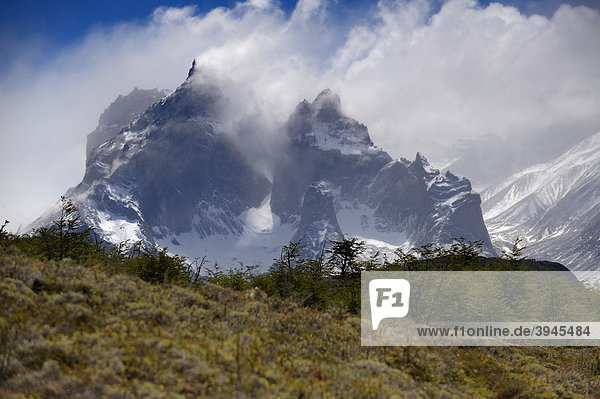 Windswept main peak of Torres del Paine mountain with a mountain meadow  Patagonia  Chile  South America