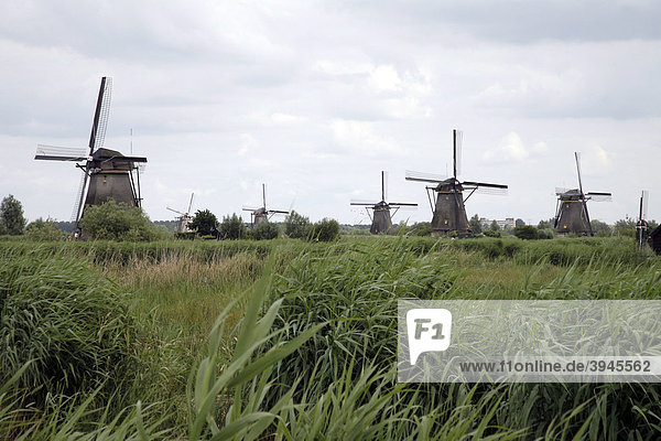 Windmühlen von Kinderdijk bei Dordrecht  Niederlande  Europa