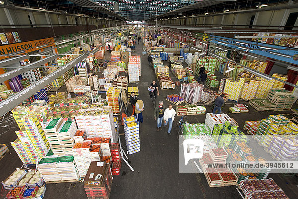 Pavillon des Fruits et Legumes  Halle für Obst und Gemüse  Hallenübersicht  Großmarkt Rungis bei Paris  Frankreich  Europa
