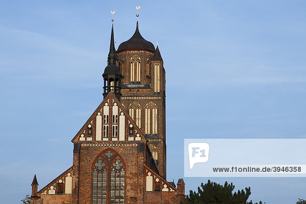 Kirche  Stralsund  Mecklenburg-Vorpommern  Deutschland  Europa