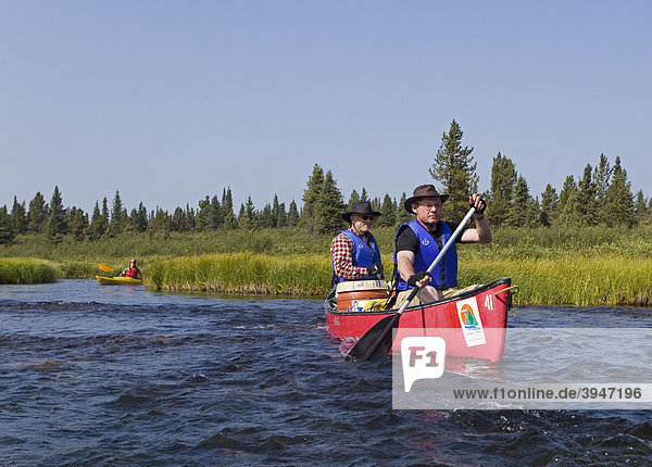 Zwei Männer paddeln im Kanu  Kanufahren  Caribou Lakes  oberer Liard River  Yukon Territory  Kanada