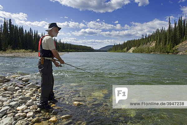 Man fishing upper Liard River  clear  shallow water  mountains behind  Yukon Territory  Canada
