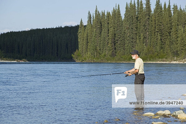 Man fishing upper Liard River  standing in shallow water  evening light  Yukon Territory  Canada