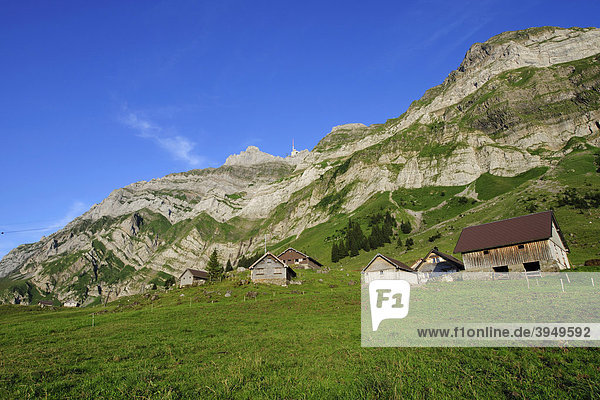 Schwägalp mit Säntis  dem höchsten Berg im Alpsteingebirge  Kanton Appenzell  Schweiz  Europa