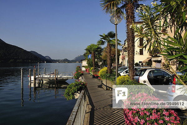 Strandpromenade von Morcote am Lago di Lugano gelegen  Kanton Tessin  Schweiz  Europa Luganersee Kanton Tessin